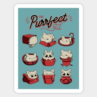 The Purrfect Fit - Funny White Cats Magnet